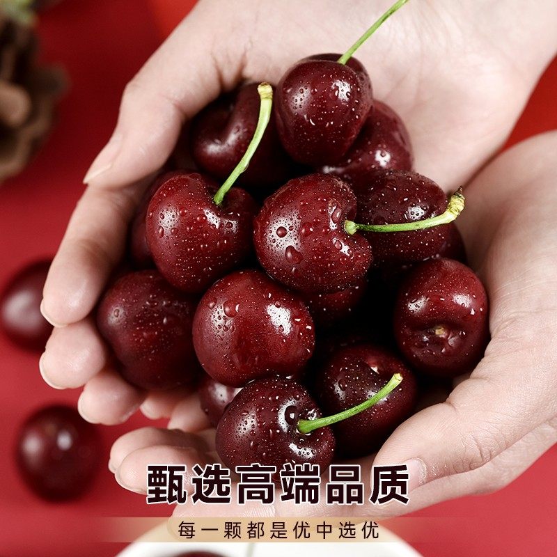 智利车厘子新鲜水果包邮当季进口整箱礼盒5斤孕妇5j樱桃原箱4j3j,淘宝优惠券,粉丝福利购,淘宝优惠卷