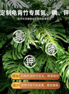 龟背竹专用营养液水培植物叶面肥室内盆栽通用型浓缩花肥叶面肥料