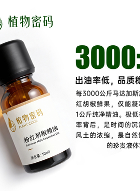 马达加斯加进口粉红胡椒植物精油