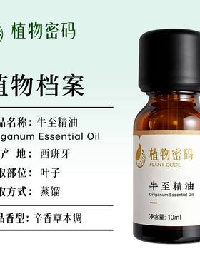西班牙牛至单方精油调理肠胃