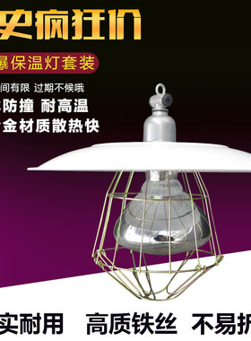 保温灯灯罩灯头小鸡育雏养殖场取暖灯泡鸡加热灯专用取暖猪用保暖