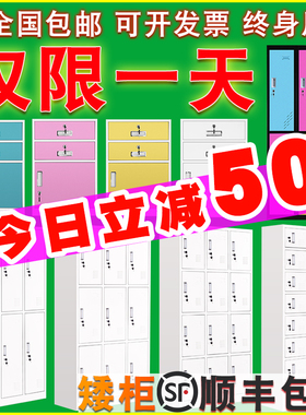 钢制彩色铁皮更衣柜员工宿舍储物柜不锈钢存包碗柜文件单门矮柜子