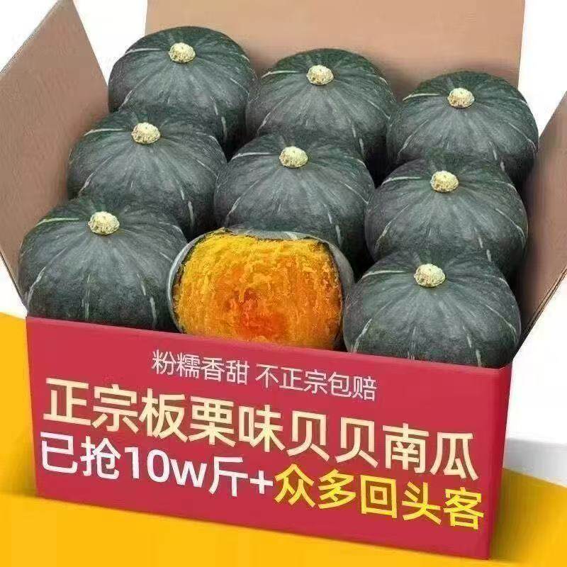 【精选】正宗贝贝南瓜板栗南瓜应季新鲜蔬菜婴儿辅食甜糯南瓜批发 【精选】正宗贝贝南瓜板栗南瓜应季新鲜蔬菜婴儿辅食甜糯南瓜批发