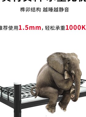 铁艺单双人1米2家用成人出租房公寓牀学生员工宿舍1.5米型材钢牀