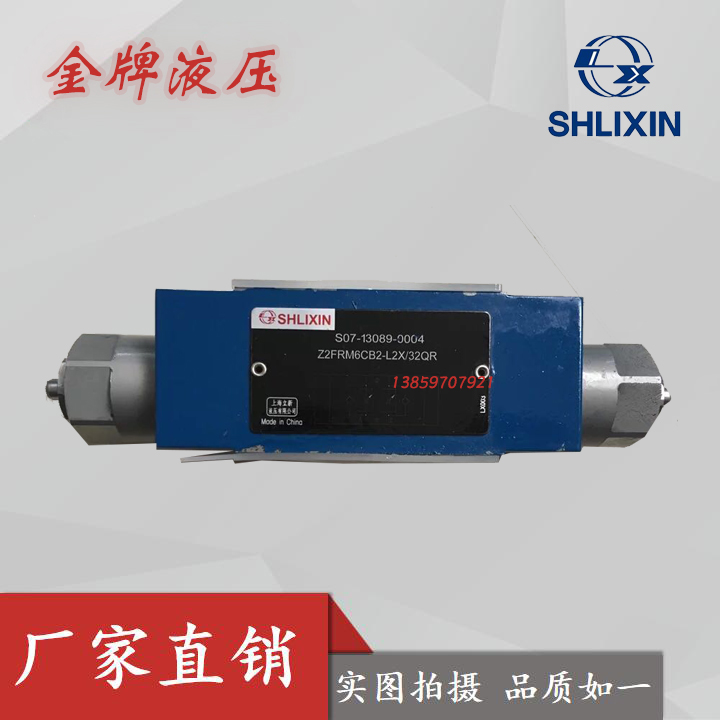 ZDB6VP1-L4X/31.5上海立新Z2DB6VC1/VD2-L4X/31.5 ZDB6VA2/VB1/20 - 图3