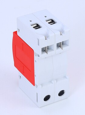 浪涌保护器2P 防雷保护器 电涌保护器 家用防雷开关220V避雷