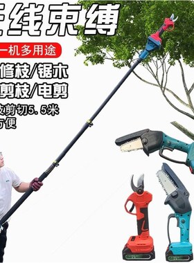 德国进口电动高枝锯多功能加长杆电动修枝锯剪电锯充电式锯树高空
