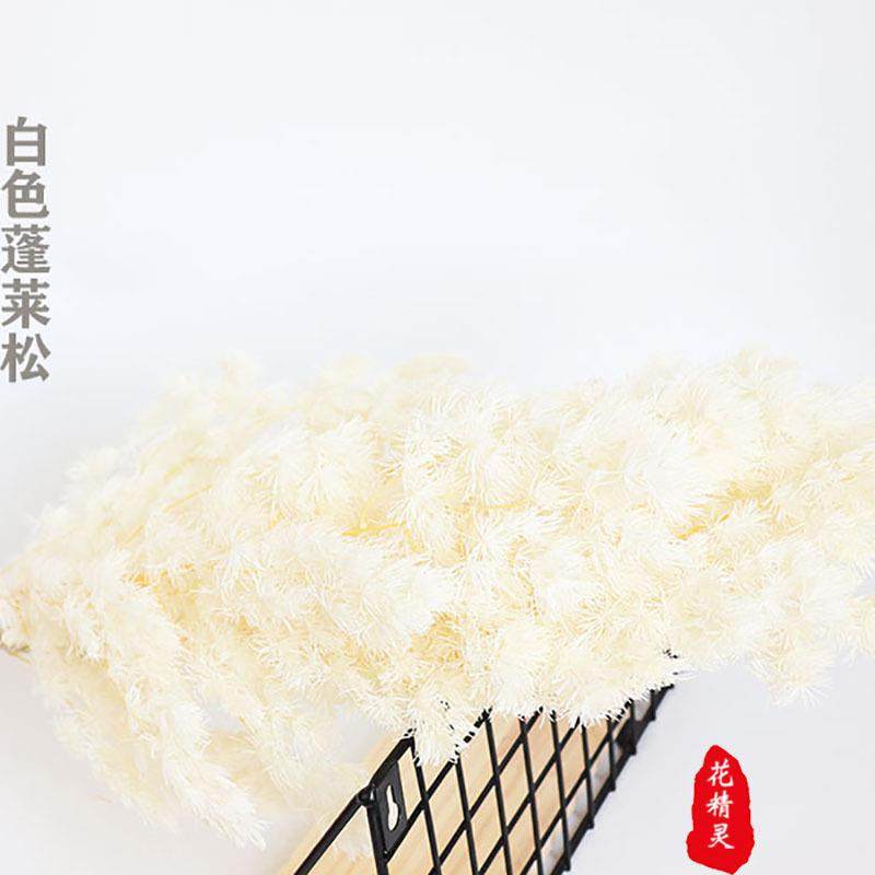 永生花蓬莱松 礼盒玻璃罩制作材料diy花材雪松浮游云南基地,淘宝优惠券,粉丝福利购,淘宝优惠卷