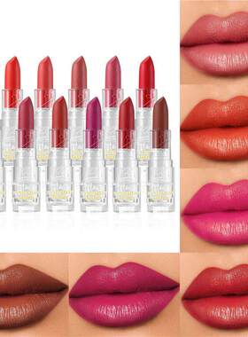 Velvet Matte Lipstick 12 色丝绒哑光口红 滋润不掉色雾面口红