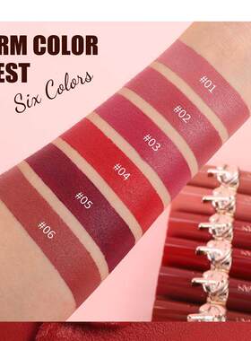 跨境6 Color Matte Velvet Lipstick Set 6 色丝绒哑光柔雾口红