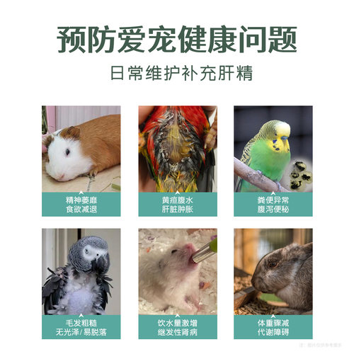 E2P护肝液兔子仓鼠豚鼠花枝鼠小宠通用奶蓟草水飞蓟法国原液肝精 - 图0