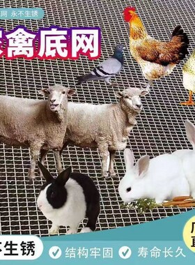 热镀锌钢丝羊床漏粪网鸡鸭鹅加厚漏粪底网养羊钢丝网