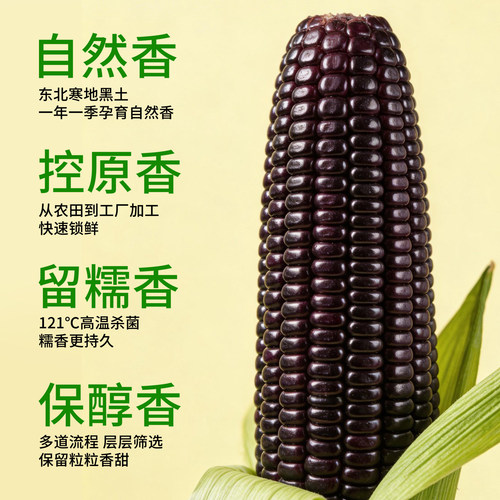迪易有机认证东北黑糯玉米10根真空包装礼盒装新鲜糯玉米代餐粗粮 - 图1