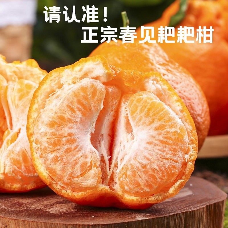 四川春见耙耙柑整箱粑粑柑正宗水果新鲜当季包邮丑桔橘杷杷柑