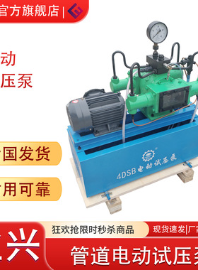 高压柱塞泵PPR水管打压机管道打压泵4dsy-100公斤电动试压泵