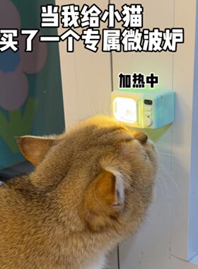 【小猫专属】发光微波炉冰箱贴
