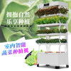 Intelligent vegetable growing machine, soilless cultivation, LED light source, household plant growth equipment, high-end new bamboo design