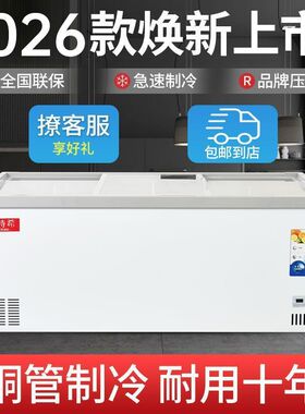 超市冰柜商用冷链大容量欧式深体岛柜卧式冰箱冷冻保鲜展示雪糕柜