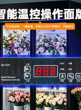 鲜花柜冷藏展示柜门双门三门花店鲜花保鲜风冷展柜商用冰柜冰箱