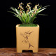 Yixing purple sand flower pot yellow square desktop bonsai pot square tube tube asparagus orchid Clivia simple