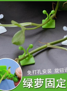 假花花藤爬上神器爬墙上绿箩固定器绿植攀爬墙上无痕挂钩粘爬藤杆