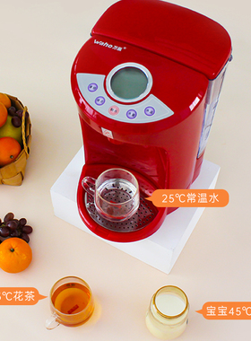 waho/万泓 WH-169-2 即热式饮水机速热电水壶热水器