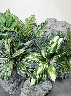 仿真把束蕨草假叶子花槽小绿植盆栽室内绿化植物墙造景观装饰摆设