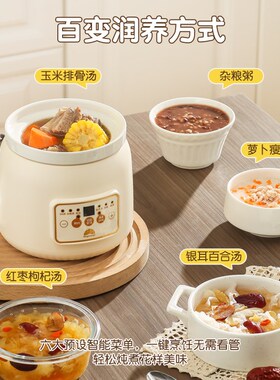 全自动懒人锅2024新款养生锅迷你小型电炖盅2人份电炖锅1一人食粥