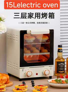 25L多功能小型一体机家用热饭菜电烤箱双层款烘焙机烤箱升级款