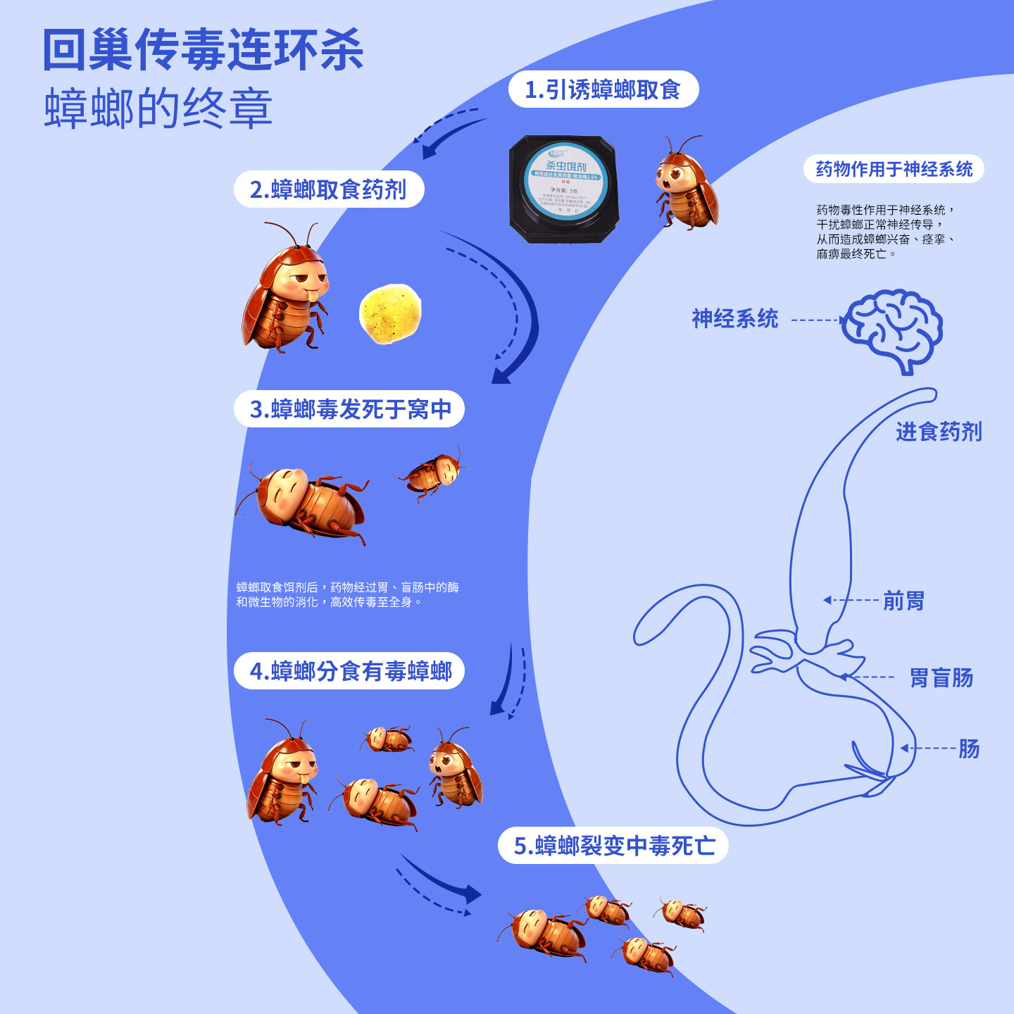蟑螂药家用正品非无毒全窝端强效第一名厨房专用灭除虫卵双杀胶饵