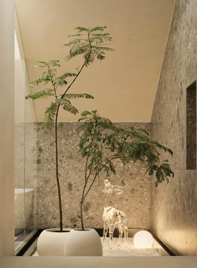 仿真绿色植物蓝色的花楹室内客厅高端轻奢仿生植物落地盆栽假树装