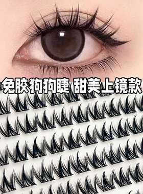 簇大容量免胶小奶狗犬系假睫毛