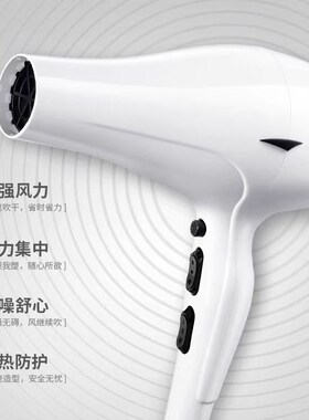 火之凤3100H电吹风机发型师专用发廊专业大功率理发店2400W吹风筒