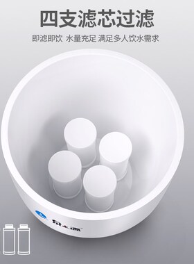 泉之源陶瓷滤芯净水桶自来水井水山泉水老人过滤器茶吧机净水器