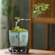 Succulent flower pot ceramic small purple sand rough pottery calamus and asparagus green plant potted lotus shaped bonsai pot with base