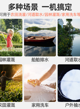 壹玖捌捌直流潜水泵12V24V48V60V电瓶车家用小型灌溉农用抽水机泵
