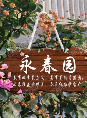 装饰挂牌古风门头庭院花园阳台装扮新中式挂件民宿家用创意定制