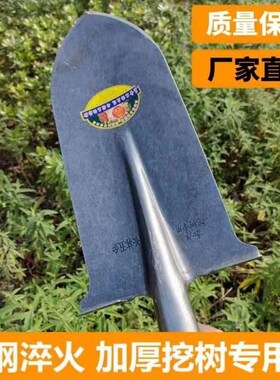铁锹锰钢农具长头铁锨木柄尖头大锹农用窄铲子全钢土泥锹挖树专用