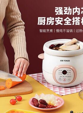 天际电炖炖锅 迷你陶瓷煲汤家用婴儿辅食宝宝炖锅煮粥bb煲1-2人份