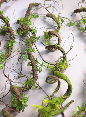 仿真苔藓树藤枯藤森系假叶藤条青苔大藤垂挂树枝婚庆造景装饰摆放