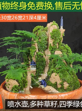 全是活植物假山流水喷泉摆件造景石材办公室室内招财鱼池石头送礼