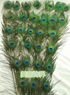 天然新款孔雀翎尾 家居饰品孔雀翎摆件 孔雀毛花瓶装饰婚庆羽毛