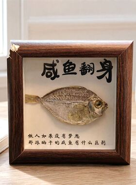 北戴河鱼干标本桌面展示框摆件