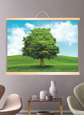 一颗大树田园风光草原玄关入户招财风景画绿色护眼卧室实木卷轴画