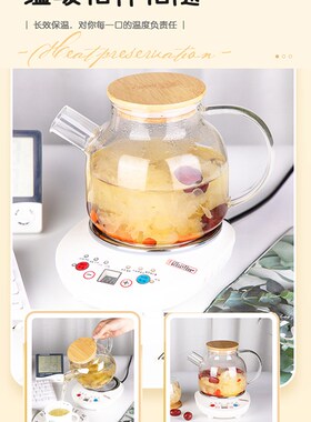 墨绿色1.2升玻璃养生壶 自动保温防溢花茶壶 适用办公室小型煎药