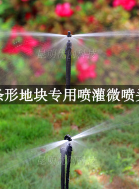 种植灌溉微喷头火龙果喷灌喷头直线雾化果树滴灌行人绿化带喷水器