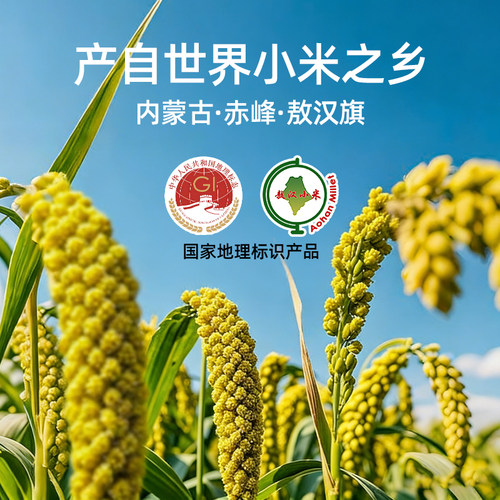 绿之坊当季新米正宗敖汉黄小米赤峰农家自产五谷杂粮主食米油煮粥 - 图3