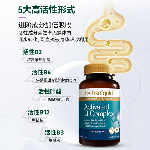 HerbsofGold和丽康活性复合维生素B族b12b1叶酸熬夜烟酰胺男女士 - 图2