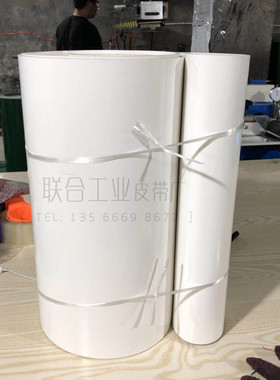专业生产PVC轻型绿色输送带流水线传送带平皮带非标准件1-5足厚