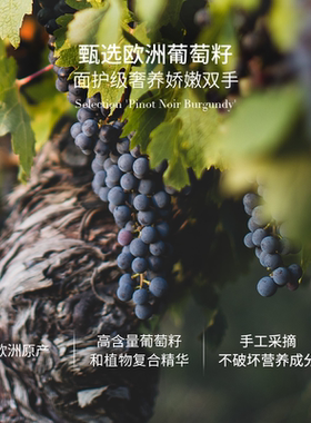 欧洲高奢贵妇TAL手甲霜紧致抗皱